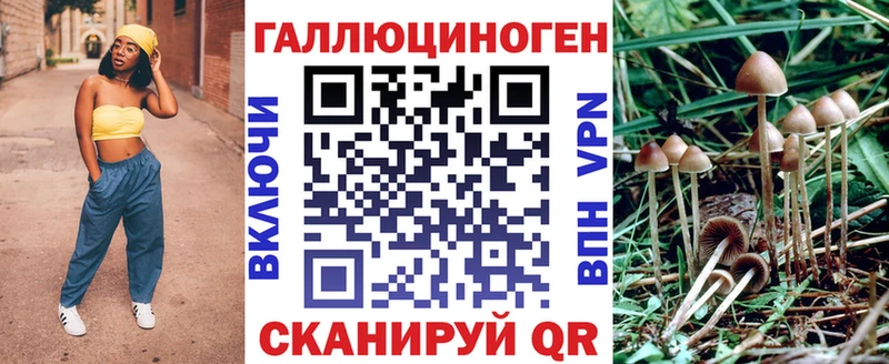 Псилоцибиновые грибы Psilocybine cubensis  купить наркотик  Белёв 